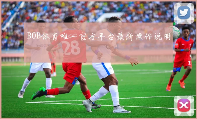 BOB体育唯一官方平台最新操作说明