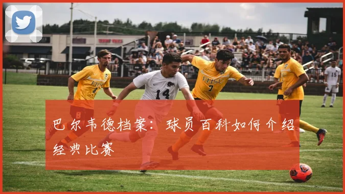 巴尔韦德档案：球员百科如何介绍经典比赛