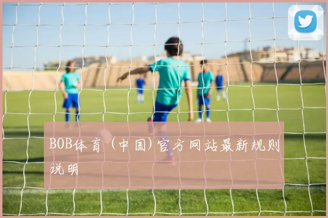 BOB体育 (中国)官方网站最新规则说明