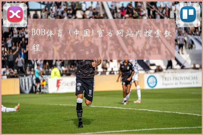 BOB体育 (中国)官方网站内搜索教程