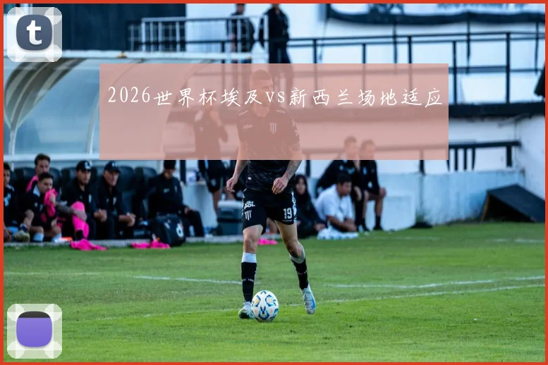 2026世界杯埃及vs新西兰场地适应