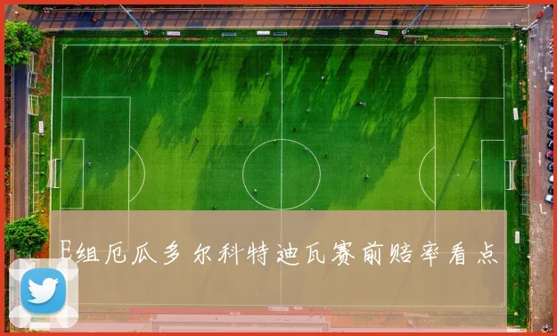 E组厄瓜多尔科特迪瓦赛前赔率看点